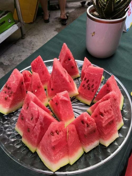 吃瓜盟主 重庆,吃瓜盟主带你探秘重庆美食江湖