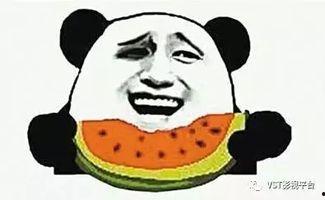 吃瓜群众张大美人,揭秘娱乐圈幕后故事