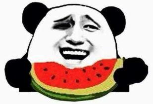 吃瓜群众淑芬,吃瓜群众的智慧与趣味