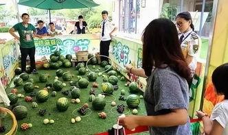 吃瓜六一活动,瓜果飘香，共度甜蜜时光