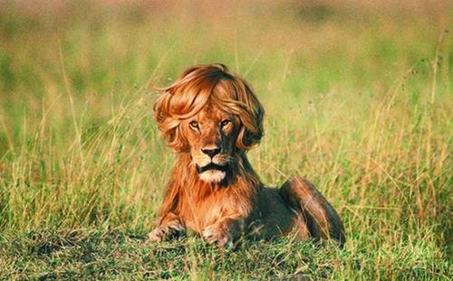 老广告虎虎吃瓜,尽享夏日清凉瓜果盛宴