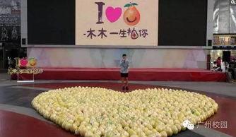 广州校园吃瓜事件,揭秘校园网络舆论风波