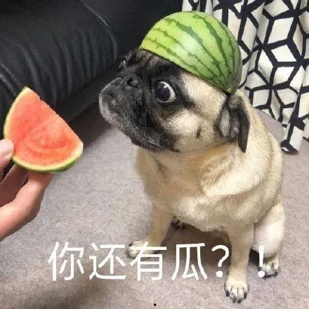 吃瓜够不够表情,够不够？