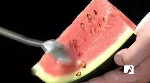 吃瓜小扎,网络红人的崛起与影响力