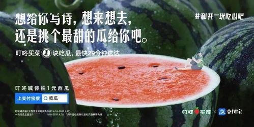 关于吃瓜这件事文案,揭秘吃瓜群众的趣味与智慧