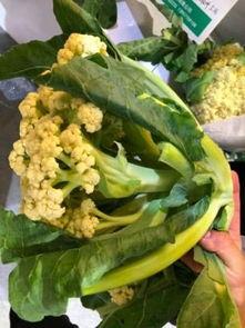 浙江工贸吃瓜,吃瓜群众见证校园风云