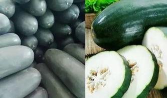 96吃瓜,揭秘娱乐圈那些不为人知的幕后故事