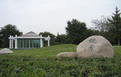 保定竞秀公园吃瓜,畅享清凉时光