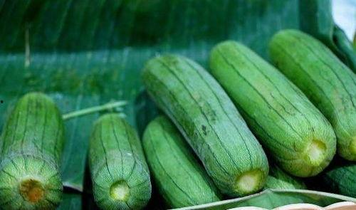 换瓜吃,一场别开生面的美食盛宴