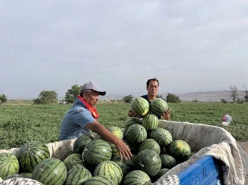 吃瓜暗区,探寻网络舆论背后的真相与隐秘