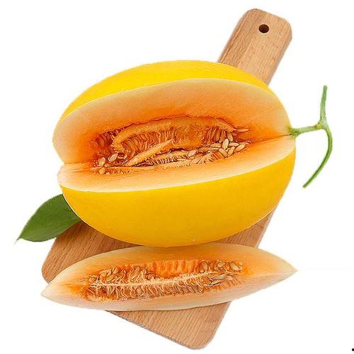 杨宝贝吃蜜瓜,杨宝贝甜蜜蜜瓜时光