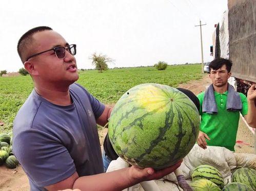 现实版吃瓜图片,围观一幕幕人间百态