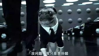 吃瓜科幻片,揭秘科幻世界的秘密果实