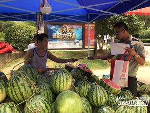 小区打架吃瓜,小区打架事件背后的吃瓜众生相