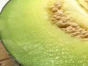 佛山学校吃瓜,揭秘校园里的那些“秘密”