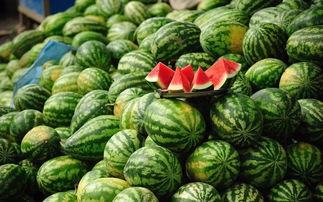 吃瓜花会胖吗,吃瓜也能增肥？揭秘吃瓜花与体重的关系