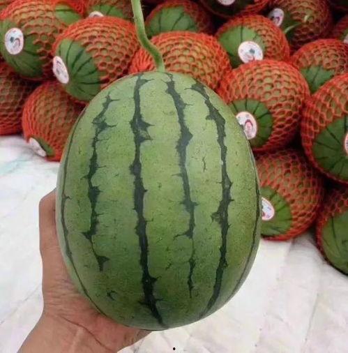 浅聊吃瓜,揭秘娱乐圈背后的那些事儿