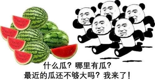 开锁师傅吃大瓜,揭秘锁匠界的神秘故事