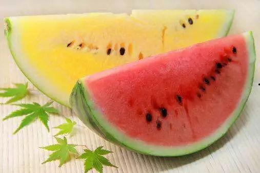 每天吃高端瓜,尽享生活甜蜜时光